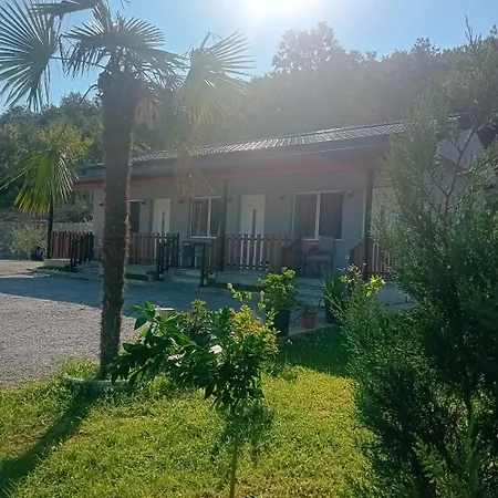Bujtina4a Rrenc
